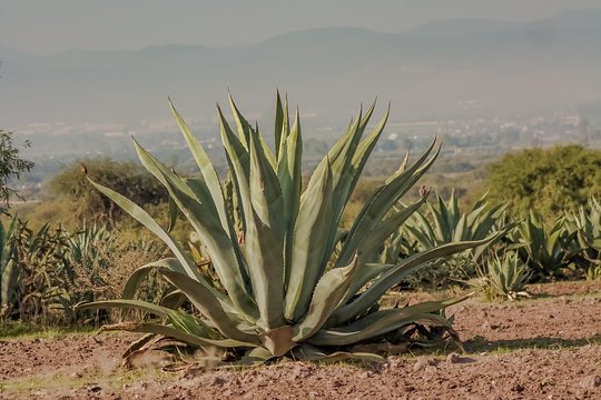Tour image 6