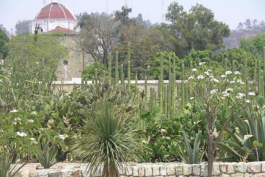 Tour image 7